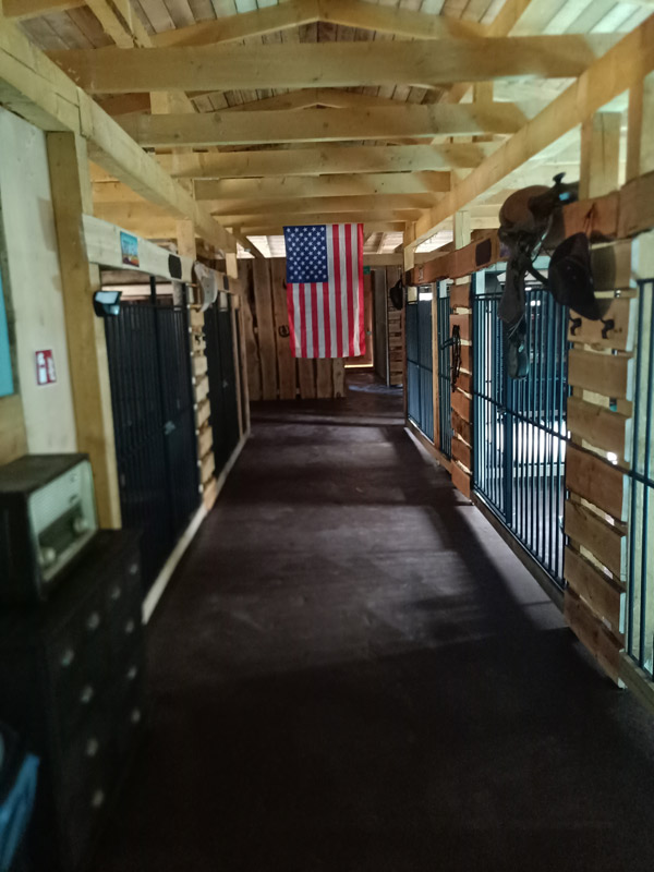 Hundehaus Gang mit USA Flagge